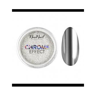 Poudre Chrome Effect Silver
