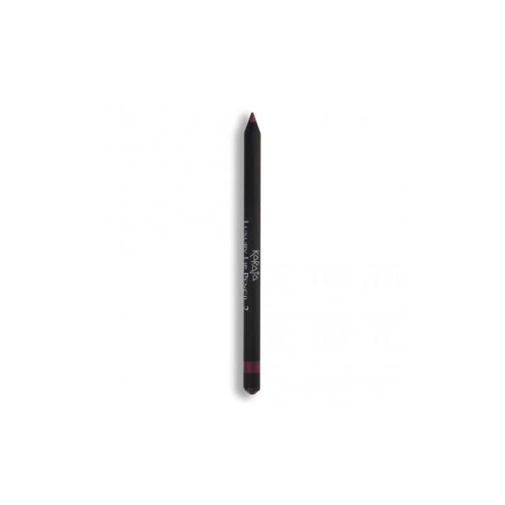 Crayon à Lèvres de Luxe n°2