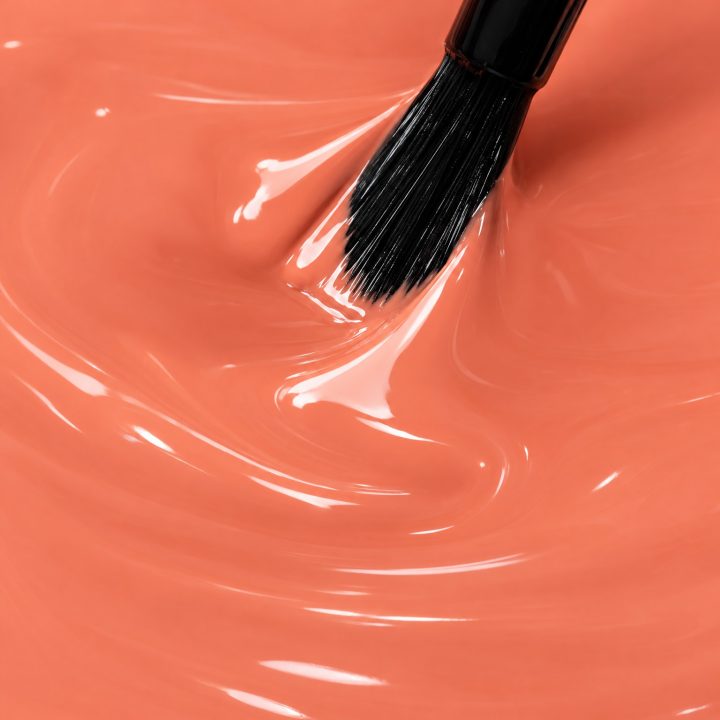 Saumon : texture