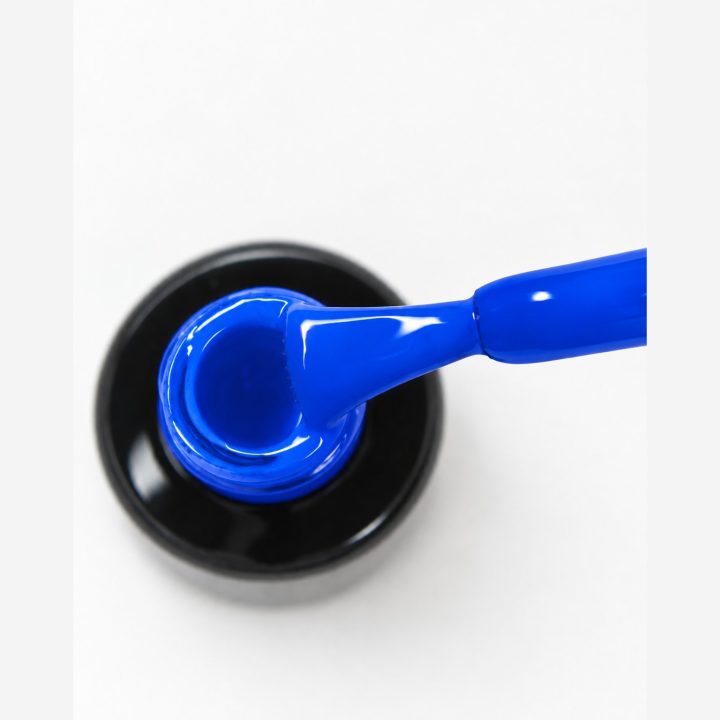 Royal Blue : macro