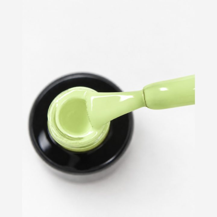 Fresh Mint : macro
