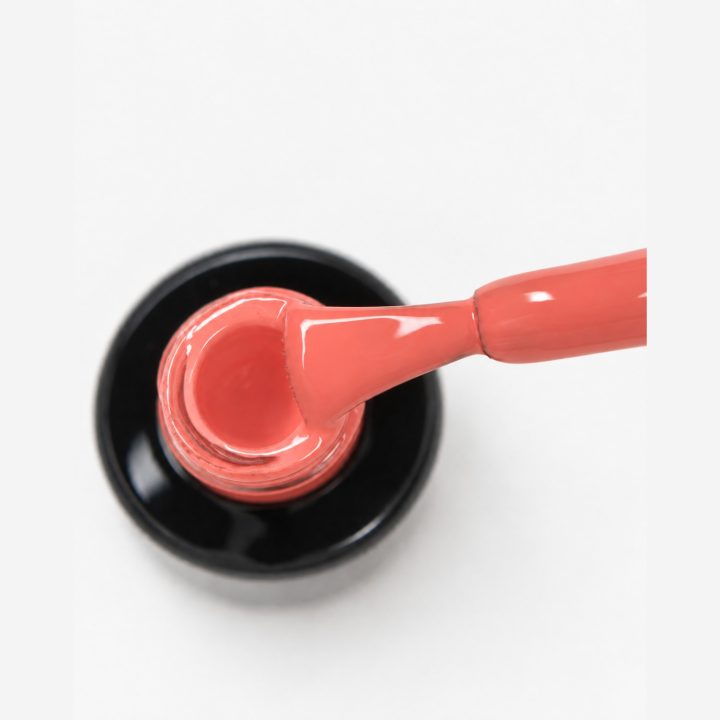 Tutti Frutti : macro