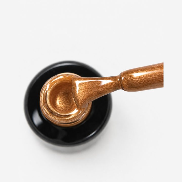 Hazelnut : macro