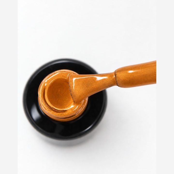 Pumpkin : macro